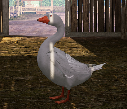 image_post